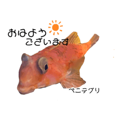 [LINEスタンプ] リアル深海魚スタンプ