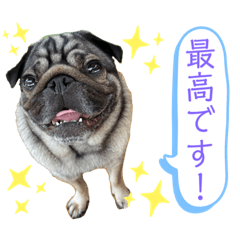 [LINEスタンプ] パグの楽とお友だちのご近所物語