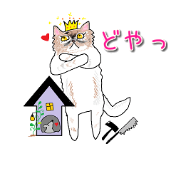 [LINEスタンプ] スコティッシュフォールドのスタンプです