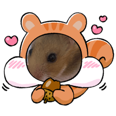 [LINEスタンプ] ハムスターのゆーちゃんスタンプ