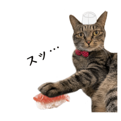[LINEスタンプ] あんこ＆くろすけ