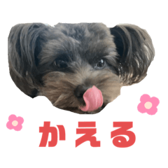 [LINEスタンプ] アルの日常3