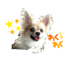 [LINEスタンプ] 変犬ココちゃん