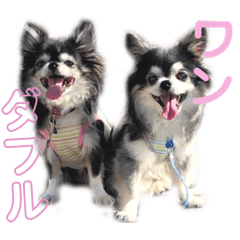 [LINEスタンプ] パルとラン