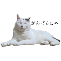 [LINEスタンプ] てんぎん物語