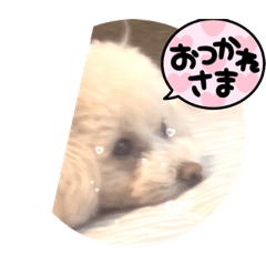 [LINEスタンプ] いやしのららまる