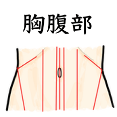 [LINEスタンプ] 鍼灸師用！胸部腹部ツボスタンプ！