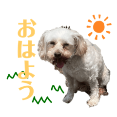 [LINEスタンプ] しるこ①