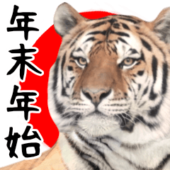 [LINEスタンプ] 年末年始 寅年スタンプ！ ほほえみフレンズ