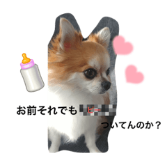 [LINEスタンプ] 【りにゅーある♡】るきるきスタンプ♡
