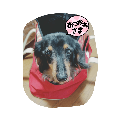[LINEスタンプ] チェリー スタンプ