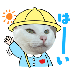 [LINEスタンプ] ねこ★ねこ★ねこ