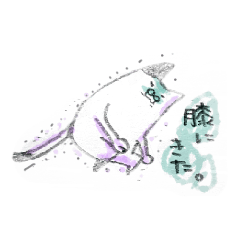 [LINEスタンプ] いぬと ダラりねこ