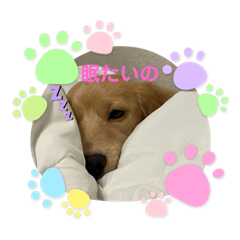[LINEスタンプ] 仔犬ちゃんのひと言
