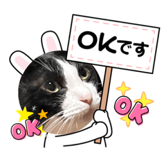 [LINEスタンプ] ねこ★ねこ★ねこ③