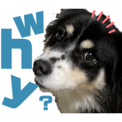 [LINEスタンプ] らぶぞぅEnglish 2