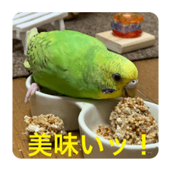 [LINEスタンプ] ゆきちゃん宅スタンプ16