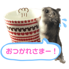[LINEスタンプ] ハムスターの銀次くん