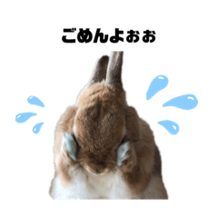 [LINEスタンプ] うさ男んちのウサちゃん