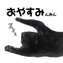 [LINEスタンプ] ミンシンすたんぷ