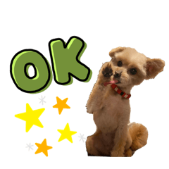 [LINEスタンプ] ポメプーきなこスタンプ