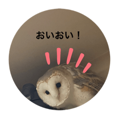 [LINEスタンプ] ペットバンザイ
