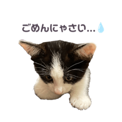 [LINEスタンプ] はちみつくんの気持ち