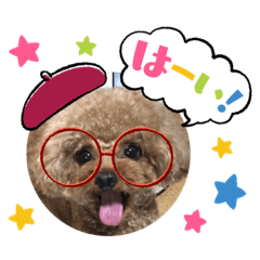 [LINEスタンプ] プードルのアレキくん 1