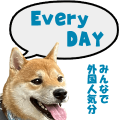 [LINEスタンプ] 毎日使える 吉祥寺柴犬ハチの英語スタンプ1