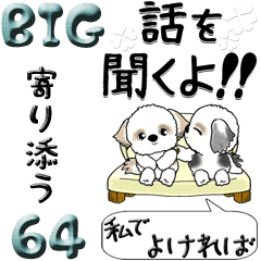 [LINEスタンプ] 【Big】シーズー犬 64『大切な人に』の画像（メイン）