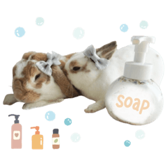 [LINEスタンプ] うさぎ の ましゅ❤︎まろん