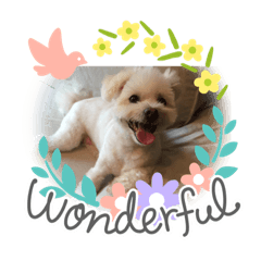 [LINEスタンプ] I loveマルポメくん！