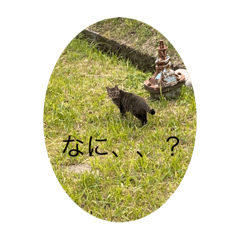 [LINEスタンプ] フォルダ内スタンプ
