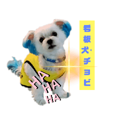 [LINEスタンプ] Tyobi1001