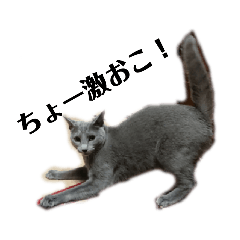 [LINEスタンプ] ぎんじろう2nd