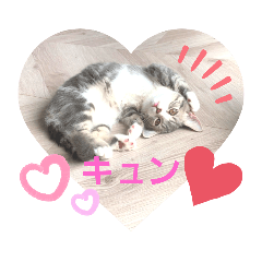 [LINEスタンプ] ちぃととくぅ2