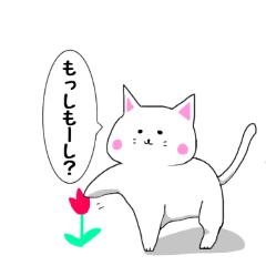 [LINEスタンプ] 白猫の吹き出しスタンプ