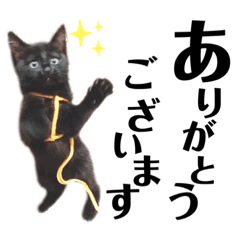 [LINEスタンプ] N--Animals