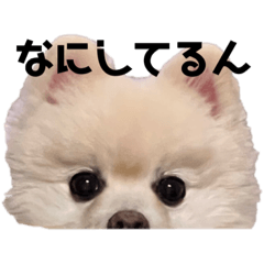 [LINEスタンプ] みぱか