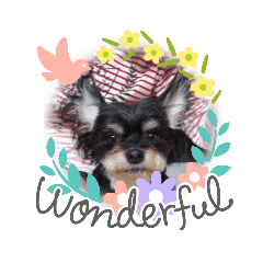 [LINEスタンプ] 私の家族パル 弐