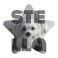 [LINEスタンプ] マルプー のステラ2