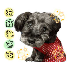 [LINEスタンプ] こころっちスタンプ