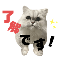 [LINEスタンプ] こはくはうるてと2！