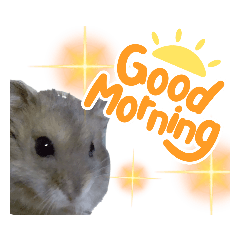 [LINEスタンプ] きゃにをすたんぴー