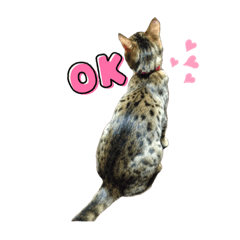 [LINEスタンプ] ルナルナスタンプ①