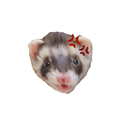 [LINEスタンプ] 感情豊かな小動物たち