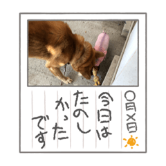 [LINEスタンプ] あっぱれ松