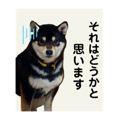 [LINEスタンプ] 翔タイム✩.*˚