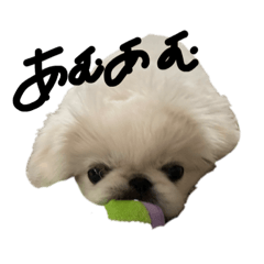 [LINEスタンプ] さくらいうに