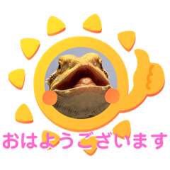 [LINEスタンプ] フトアゴ我太郎のご挨拶スタンプ